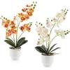 LEIMEND 2 Pezzi Orchidea Finta Realistica Orchidee Finte Realistiche Giallo e Bianco Orchidee Finte Orchidea Artificiale Fiori Artificiali Adatto per Tavoli da Pranzo Uffici e Arredamento Domestico