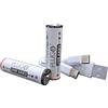 PLUGO | Batteria USB | 1,5 V AA al litio | con cavo di ricarica USB 2 in 1 tipo C | 2600 mWh | 2 pezzi