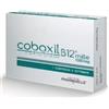 COBAXIL B12 1000MCG 5CPR SUNBL