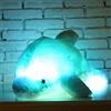 Zinsale 7 Cambi di Colore LED Lighten Giocattolo farcito con i Delfini Cuscino Peluche Luce Notturna (Bianca, 30cm)