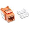 Intellinet Frutto Keystone RJ45 Cat5e UTP Arancio