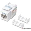 Intellinet Frutto Keystone RJ45 Cat5e UTP Bianco