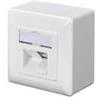 Digitus Scatola di giunzione Gigitus DN-9007-S-1 Cat.6A 2xRJ45 per connettore RJ45 Bianco [AMASSGN00000001]