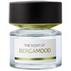 BMW Bergamood eau de parfum