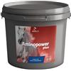Equality Aminopower Plus