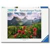 RAVENSBURGER Puzzle 2000 Pezzi Montagne Da Sogno