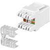 Intellinet Frutto Keystone RJ45 C5E LSA UTP Bianco