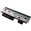 Zebra Kit Conversione Zebra ZT111 da 203DPI a 300DPI Nero Grigio [P1123335-017]