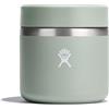 Hydro Flask Agave - Barattolo isolato per alimenti, 20 once