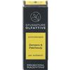 ERBORISTERIA MAGENTINA Srl ESSENZA ZENZERO & PATCHOULI 10 ML