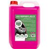Motorkit MOT3535 Antigelo, Rosa, 5 L