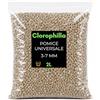 Clorophilla Pomice Universale 3-7 mm - Inerte Naturale per Piante - Substrato Drenante e Aerante - Uso per Vasi, Rinvasi e Coltivazione (2 Litri)