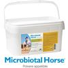 N.B.F. LANES Srl Microbiotal Horse - per il benessere gastrointestinale del cavallo - 20 buste da 60 grammi