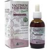 ALCHIMIA BENOIT Vaccinium vitis idaea gemmoderivato 50 ml - ALCHIMIA BENOIT - 976838072