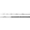 PENN Regiment IV Canna da Barca a Rullo, Pesca d'Acqua Salata Pesce di Mare spigola, Pollock, Sgombro Squalo, Forte Peso Leggero e Versatile, Argento, 2.00m Moderato Veloce Ambidestro Canna