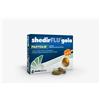 Shedirflu gola mentolo/eucalipto 48 pastiglie - SHEDIR - 944792353