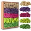 Avagiaforu Muschio Stabilizzato, 200g Muschio Finto per Decorazioni, Muschio Artificiale Decorativo con 5 Diversi Colori, Lichene Stabilizzato, Muschio di Renne Artificiale per Modellismo, Fai da Te di Muschio