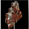A Bijoux Pietre E Minerali. Gesso. 243,80 Ct. La Pesquera, Cuena, Spagna.