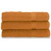 Gabel Asciugamani Viso, Spugna di Puro Cotone Idrofilo, 60 x 100 cm, Bruciato, Set da 3 Pezzi