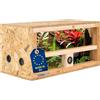 ITA Mini terrario 60x30x30 cm con ventilazione laterale e igrometro integrato - Terrario in legno OSB-3 - Per rettili, serpenti, anfibi - Prodotto UE, certificato FSC