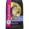 Eukanuba Crocchette Gattini con Pollo Fresco, 10 kg | Cibo secco premium per gattini | Alimento per la crescita | Con omega 3 e 6