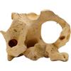 Amtra Deko Roccia Gallura Beige Media - Decorazione in Resina atossica per Acquari, Accessorio Ornamentale subacqueo, Decorativo rifugio nascondiglio, Dipinto a Mano, Dimensione 19 * 24,5 * 13 cm