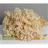 NatureMan Bouquet di fiori secchi, 100% gipsofila naturale, fiori di lunga durata, per composizioni in vaso, decorazione per la casa, oggetti di scena fotografici, feste e matrimoni, decorazioni fai