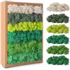 Avagiaforu Muschio Stabilizzato, 200g Muschio Finto per Decorazioni, Muschio Artificiale Decorativo con 6 Diversi Colori, Lichene Stabilizzato, Muschio di Renne Artificiale per Modellismo, Fai da Te di Muschio