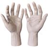 Yangshine 2 pezzi manichino a grandezza naturale in PVC realistico mano manichino maschio sinistra e destra modelli per gioielli guanti display costume di Halloween puntelli tatuaggio pratica mano