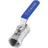 Walfront Valvola a Sfera per Tubo Serbatoio con Filettatura Femmina in Acciaio Inossidabile 304 (3/4 BSP)