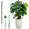 Mcbazel Supporto per Monstera in Muschio per Piante, 120 cm Bastone di Cocco Flessibile Versione Audace per Piante Rampicanti Grandi, Supporto in Muschio Fai-da-te con Accessori per Piante da Interno