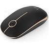 seenda Mouse wireless 2,4 G mouse wireless con 1600 DPI per PC/laptop/MacBook/Linux, 3 tasti silenziosi, per mancini e destrorsi, durata della batteria 18 mesi (nero e oro)
