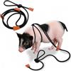 Meow&Woof Pettorina e guinzaglio per maiale, corda regolabile per prevenzione delle fughe, design tutto in uno, tutte le fasi della vita, mini maialini da piccoli a medi, lunghezza 1,5 m, nero