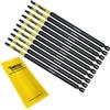 SabreCut 10 x SabreCut SCTP30152_10 152mm T30 TX30 Torx Set di punte per cacciavite a impatto magnetico di sicurezza antimanomissione per impieghi gravosi compatibile con Dewalt Milwaukee Bosch Makita e altro