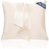 AliLeader Federa Per Cuscino In Raso Molto Morbido, Set Di 2, Cura Della Pelle E Dei Capelli, Beige, 60 X 60 Cm