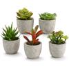 Lxoraziy 6 Pezzi Mini Piante Finte da Interno in Vaso, Piantine Finte Decorative con Vasetto, Pianta Finte Succulente per Interni, Ufficio, Scrivania, Casa, Camera da Letto, Decorazione