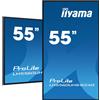 IIYAMA MONITOR IIYAMA 55" lcd uhd 4k android 11 24/7 500cd/m2