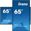 IIYAMA MONITOR IIYAMA 65" 3840x2160, uhd va panel