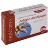 KOS Srl ARTIGLIO DIAVOLO ESTR SEC60CPR