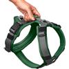 Hunter Pettorina per Cani Maldon Up Verde Scuro/Grigio Riflettente, xs
