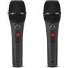 WHARFEDALE PRO DM 5.0 S coppia microfoni gelato con switch on off per canto voce
