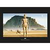 Komar Star Wars Classic RMQ Droids - Poster da parete, 70 x 50 cm, motivo: comar, stampa artistica (senza cornice)