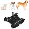 Generic Comoda Pettorina per Cani per Supporto per Action Cam, Materiale in Nylon di Alta qualità, Compatibile con Varie Action Camera con Cinghie Regolabili per Cani di Taglia Piccola,