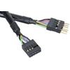 Asaka Cavo USB AK-EX-USBI-40 - estensione interna - 40 cm [AK-EX-USBI-40]