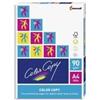 Neusiedler Carta in risma bianca Neusiedler 250 fogli A3 297x420mm 200gr [6352]