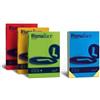 Favini Carta in risma colorata Favini 125 fogli A3 200gr rismaluce nero [A67A133]
