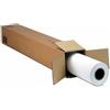 Epson Carta fotografica in rotolo Paper (170), da 152, 4cm x 30, 5m [C13S042137]
