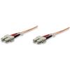 Techly Cavo fibra ottica SC/SC 62,5/125 Multimodale 2 m OM1