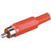 Oem Connettore Audio RCA Maschio in plastica, Rosso