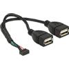 Delock Cavo usb Delock Pinheader 10Pin -> 2x A Bu/Bu 0.15m [84933]